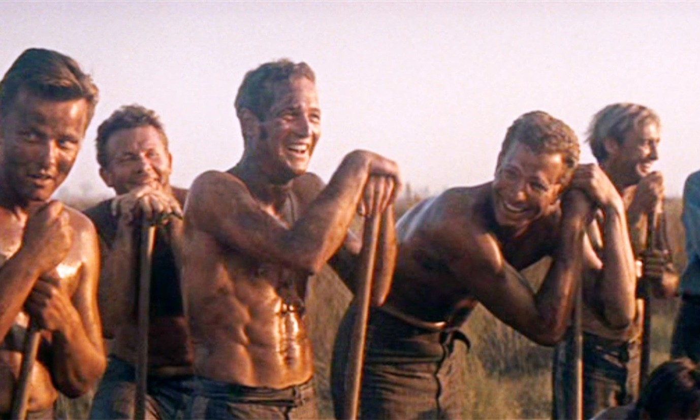 Cool Hand Luke (1967)